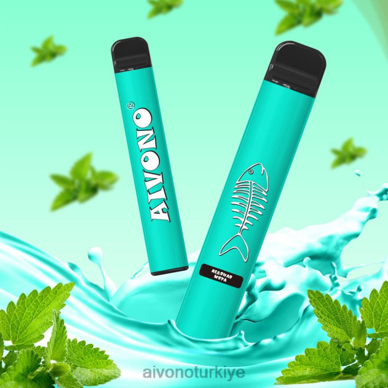 Aivono Vape Review - 68B6Z278 Aivono AIM FISHBONE 600 serin nane