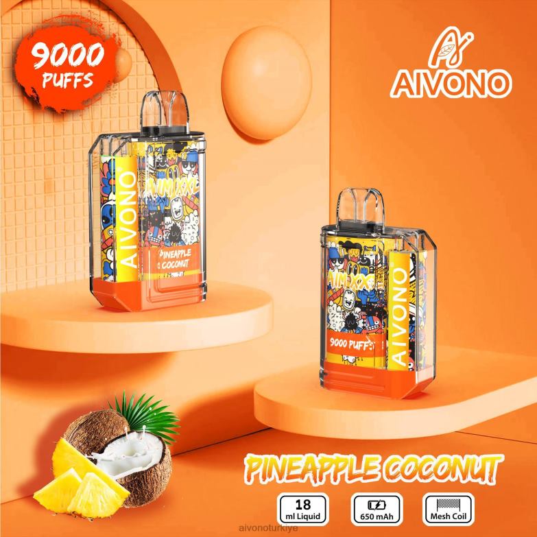 ananas hindistan cevizi